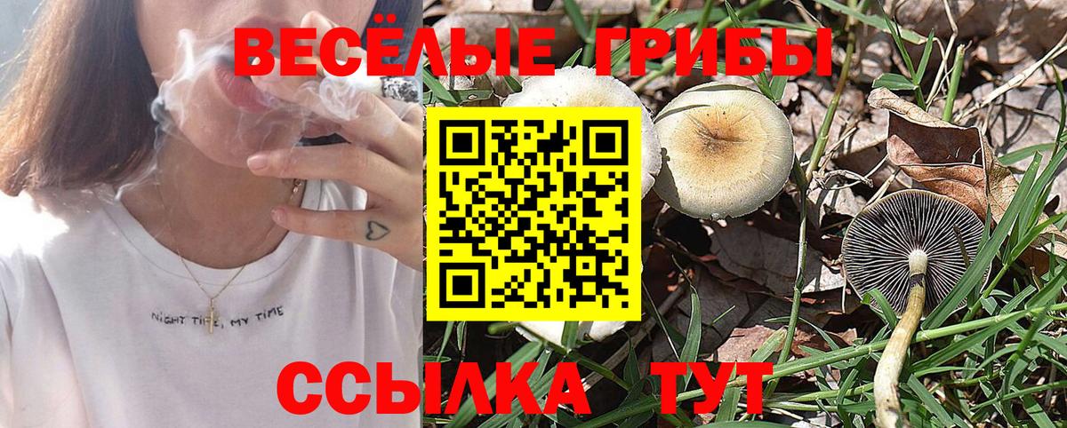 Псилоцибиновые грибы Cubensis  Вход с VPN  Минусинск  Галлюциногенные грибы Psilocybe 